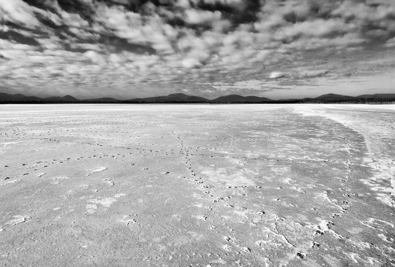 DJI_0109-copy